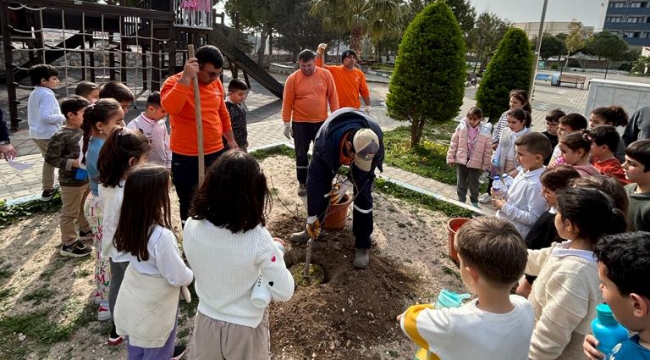 Çeşme'de okul bahçeleri meyve bahçesine dönüşüyor