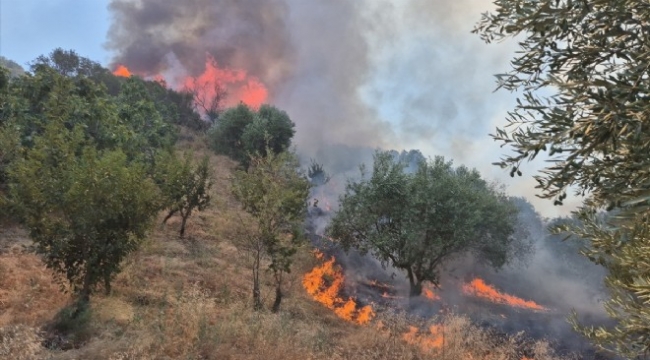 Tarım arazisinde başladı, ormana sıçradı... Manisa'da korkutan yangın!