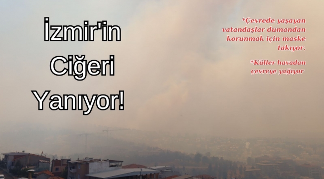 İzmir'in Ciğeri yanıyor!