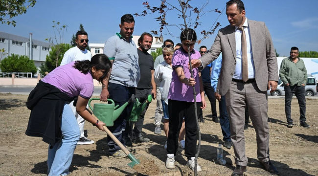 Bornova'da yangının izleri siliniyor!