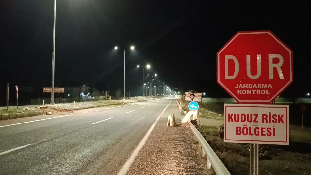 O kentte kuduz alarmı... Karantinaya alındı!