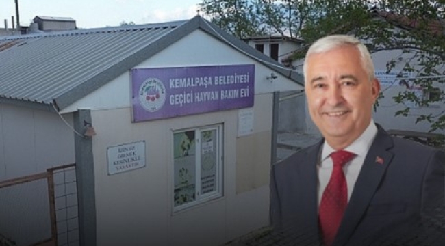 Kemalpaşa'dan Örnek Adım: Sokak Hayvanlarına Sıcak Bir Yuva Çağrısı