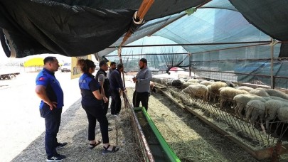 Menderes'te kurban denetimi