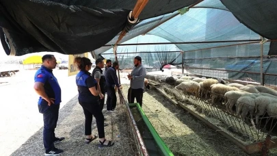 Menderes'te kurban denetimi