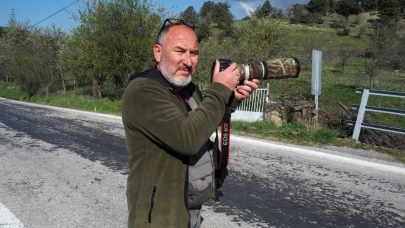 Kütahya Gediz Murat Dağı’nda Boz Ayı Foto Kapana Yakalandı