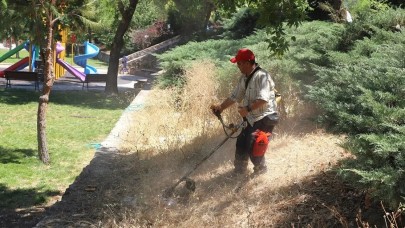 Menderes'te ot temizliği