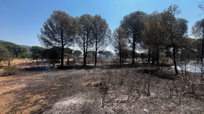 Bergama'da yangın kontrol altında: 16 hektarlık alan kül oldu!