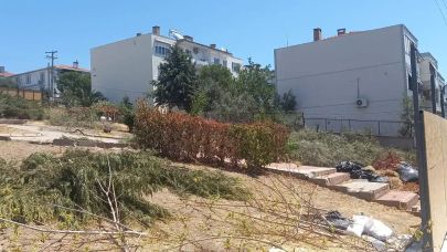 Park ve yeşil alana ticari faaliyet girişimi izni verilmiş: Ağaçlara ihanet
