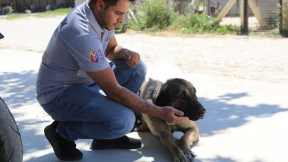 Selçuk’ta “Satın Alma Sahiplen” çağrısı!