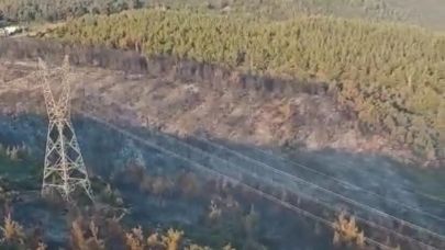 Manisa'daki yangın 2'nci gününde