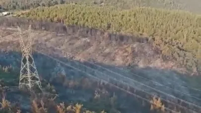 Manisa'daki yangın 2'nci gününde