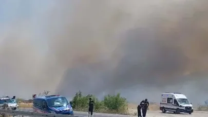 Muğla'da tarım arazisinde yangın