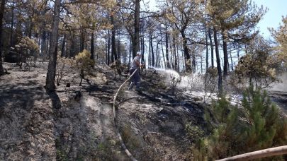Eskişehir'de başlayıp, Afyonkarahisar'a sıçramıştı: Yangın kontrol altında