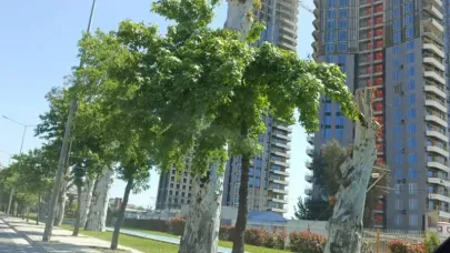 İzmir’in Kalbindeki Dev Proje: Trafik Sorununa Yeni Bir Yük mü?