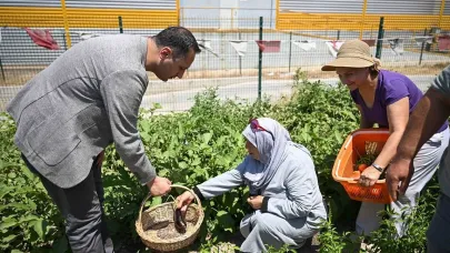 Bornova'ya yeni kent bostanı geliyor!