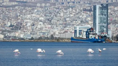 İzmir pilot şehir... İklim krizi ile mücadele sürüyor!