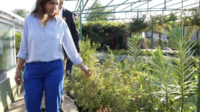 Karşıyaka'dan inşaatlara yeşil şart: Her daireye iki fidan!
