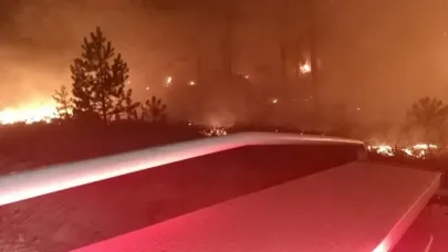 Orman yangını: 1 hektar küle döndü!