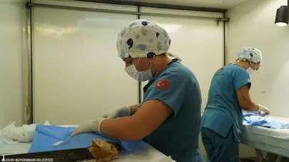 Büyükşehir'den kısırlaştırma seferberliği