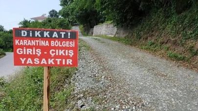 Kapatılan hayvan pazarları yeniden açıldı