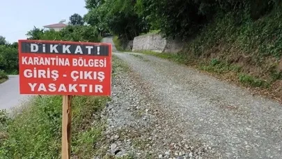 Kapatılan hayvan pazarları yeniden açıldı