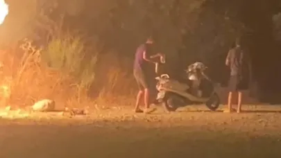 Ormanı yakıp kaçtılar!