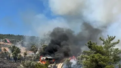 İzmir'deki orman yangını kontrol altında!