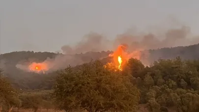 Milas’ta orman yangınına hızla müdahale ediliyor