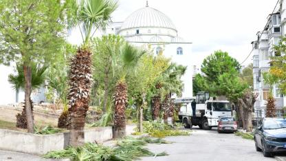 Çiğli’de sonbahar bakımı: Ağaçlar budanıyor, kent güzelleşiyor