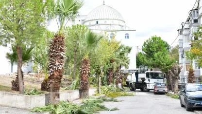 Çiğli’de sonbahar bakımı: Ağaçlar budanıyor, kent güzelleşiyor