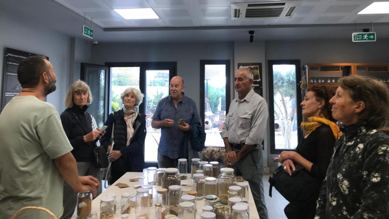 Efes Tarlası Yaşam Köyü&#039;ne uluslararası ilgi büyüyor