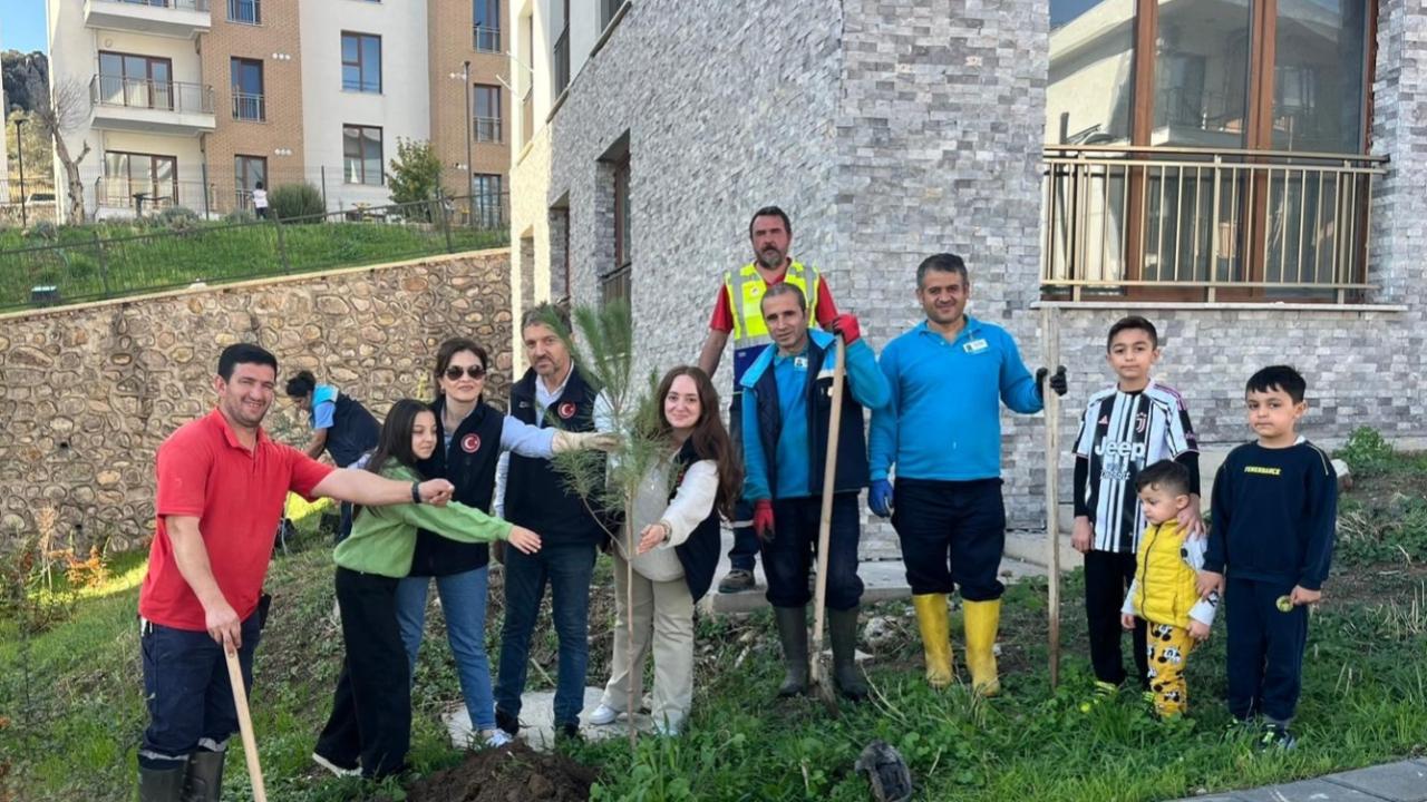 11 Kasım&#039;da Fidanlar Gelecektir.