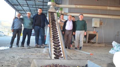 UNUTMAZ ZEYTİNYAĞI FABRİKASI ZEYTİN SIKIM SEZONUNU AÇTI