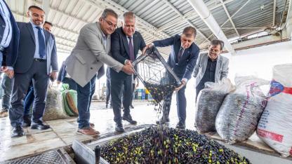 Urla, Zeytinin Bereketi ve Sanatın Işığıyla 3 Gün Boyunca Parlayacak!