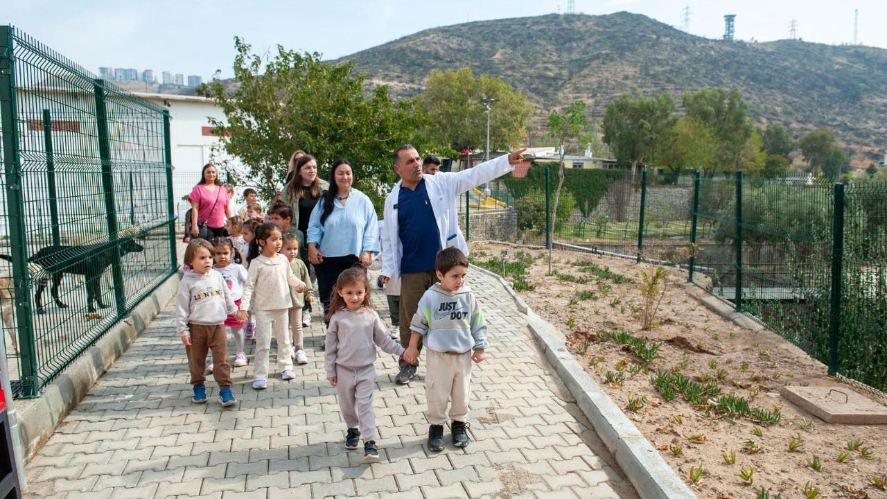 1 yılda 40 bin can dosta şefkat eli uzandı