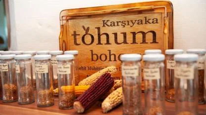 Karşıyaka’da yerel tohum bereketi; 1 yılda 200 bini aşkın tohum paketi dağıtıldı