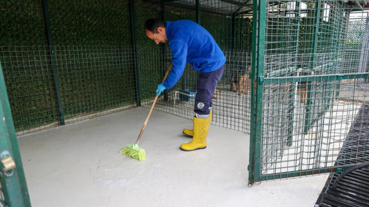 Buca’nın can dostlarına “beş yıldızlı” bakım