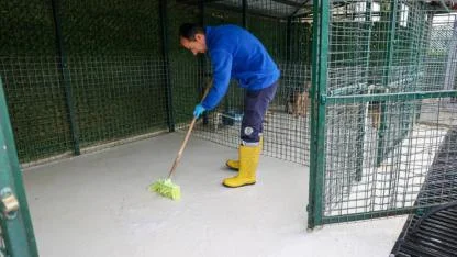 Buca’nın can dostlarına “beş yıldızlı” bakım