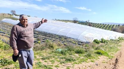 COĞRAFİ İŞARETLİ KÖPRÜBAŞI ÇİLEĞİ YÜZ GÜLDÜRÜYOR