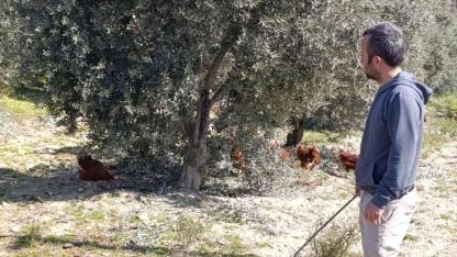 Ev Kiraları Yüzünden Şehirden Göç Ederek Gezen Tavuk Çiftliği Kurdu