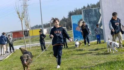 İzmir’de 2 bin 300 patili yuva bekliyor