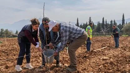Kesilen cevizlerin yerine umut filizlendi