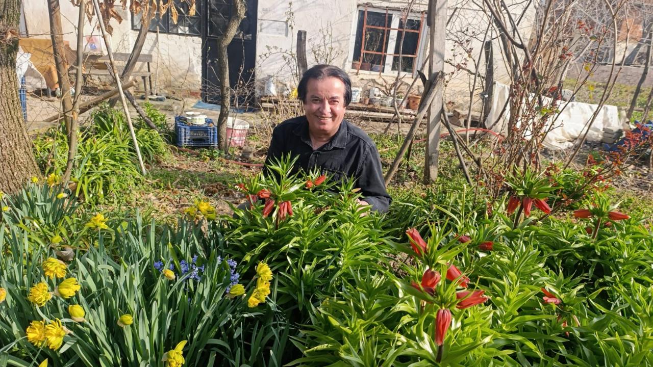 KÜTAHYA SİMAV’DA 20 GÜNLÜK TERS LALE GÖRSEL ŞÖLENİ BAŞLADI