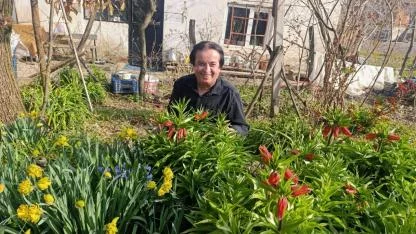 KÜTAHYA SİMAV’DA 20 GÜNLÜK TERS LALE GÖRSEL ŞÖLENİ BAŞLADI