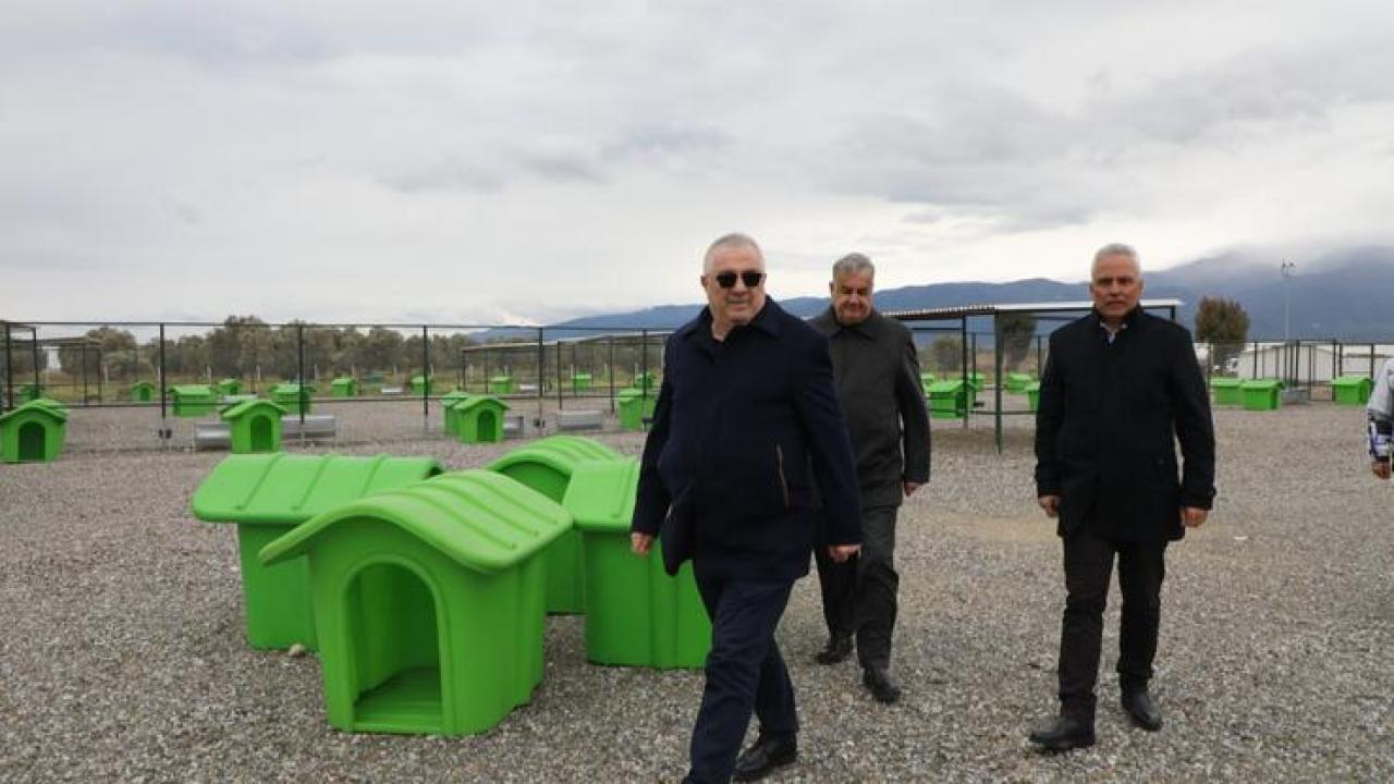 Nisan’da Sokak Hayvanlarına Doğal Yaşam Alanı Açılıyor