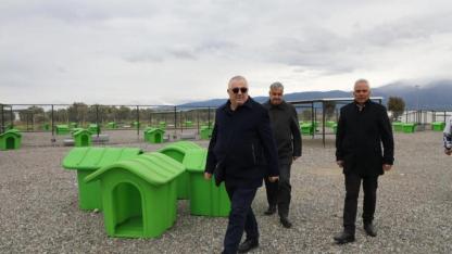 Nisan’da Sokak Hayvanlarına Doğal Yaşam Alanı Açılıyor