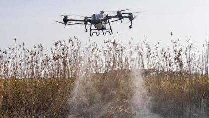 Sivrisinek ve zararlılara karşı İzmir modeli