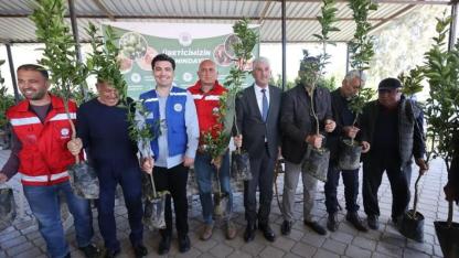 Zirai dondan zarar gören üreticilere fidan desteği