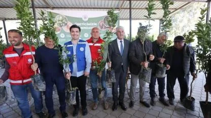 Zirai dondan zarar gören üreticilere fidan desteği