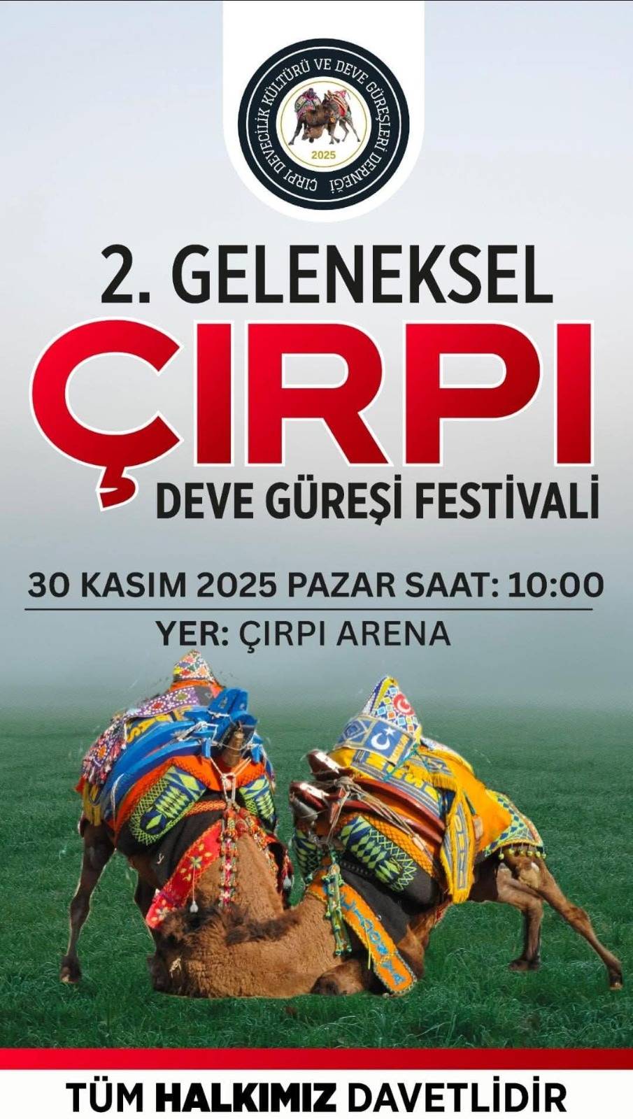 2. GELENEKSEL DEVE GÜREŞİ FESTİVALİ İZMİR BAYINDIR ÇIRPI’DA COŞKUYLA GERÇEKLEŞECEK